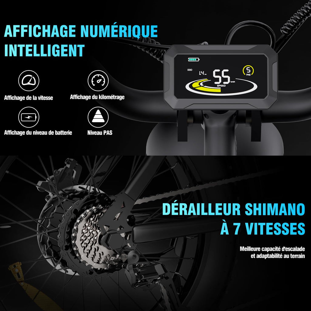 YVY Vélo Électrique, Batterie Amovible 20/40Ah, Autonomie 120km/150km/300km, Fat Bike Électrique, VTT Électrique 7 Vitesses, E-Bike Double Suspension, Double Disque, Écran LCD