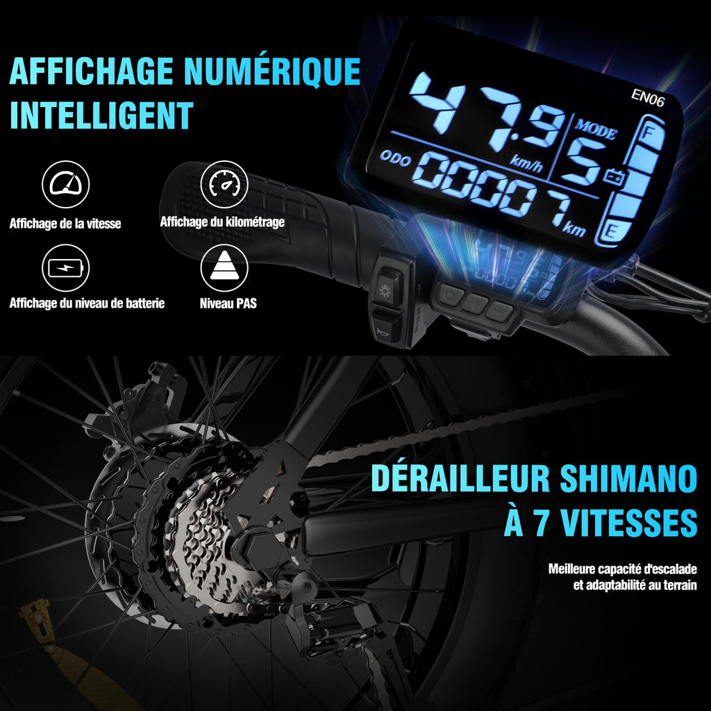 YVY Vélo Électrique, Batterie Amovible 20/40Ah, Autonomie 120km/150km/300km, Fat Bike Électrique, VTT Électrique 7 Vitesses, E-Bike Double Suspension, Double Disque, Écran LCD